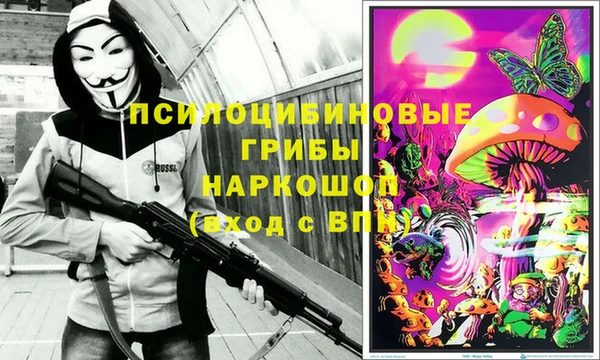 мяу мяу мука Баксан